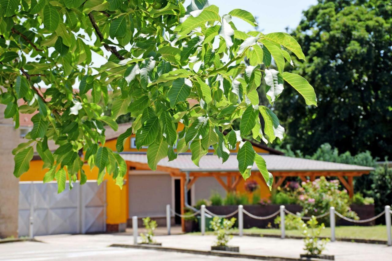 Ferienwohnung/ Ferienzimmer Asche Aschersleben Εξωτερικό φωτογραφία